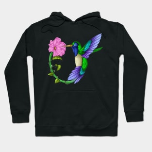 Colorful Colibri Hoodie